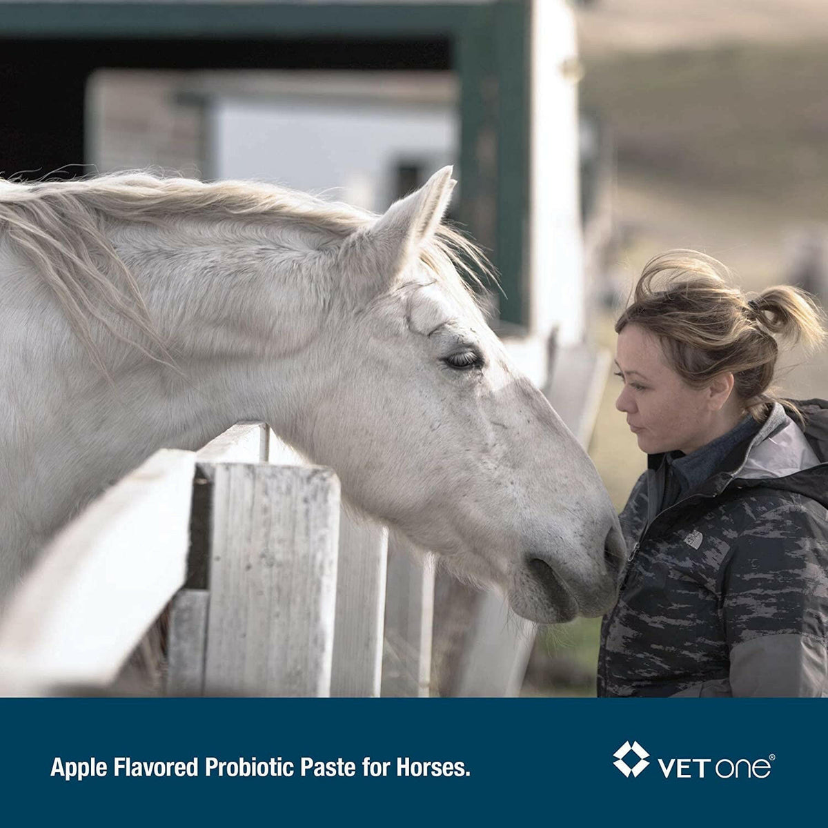 Advita Probiotic Paste for Horses (30g tube)