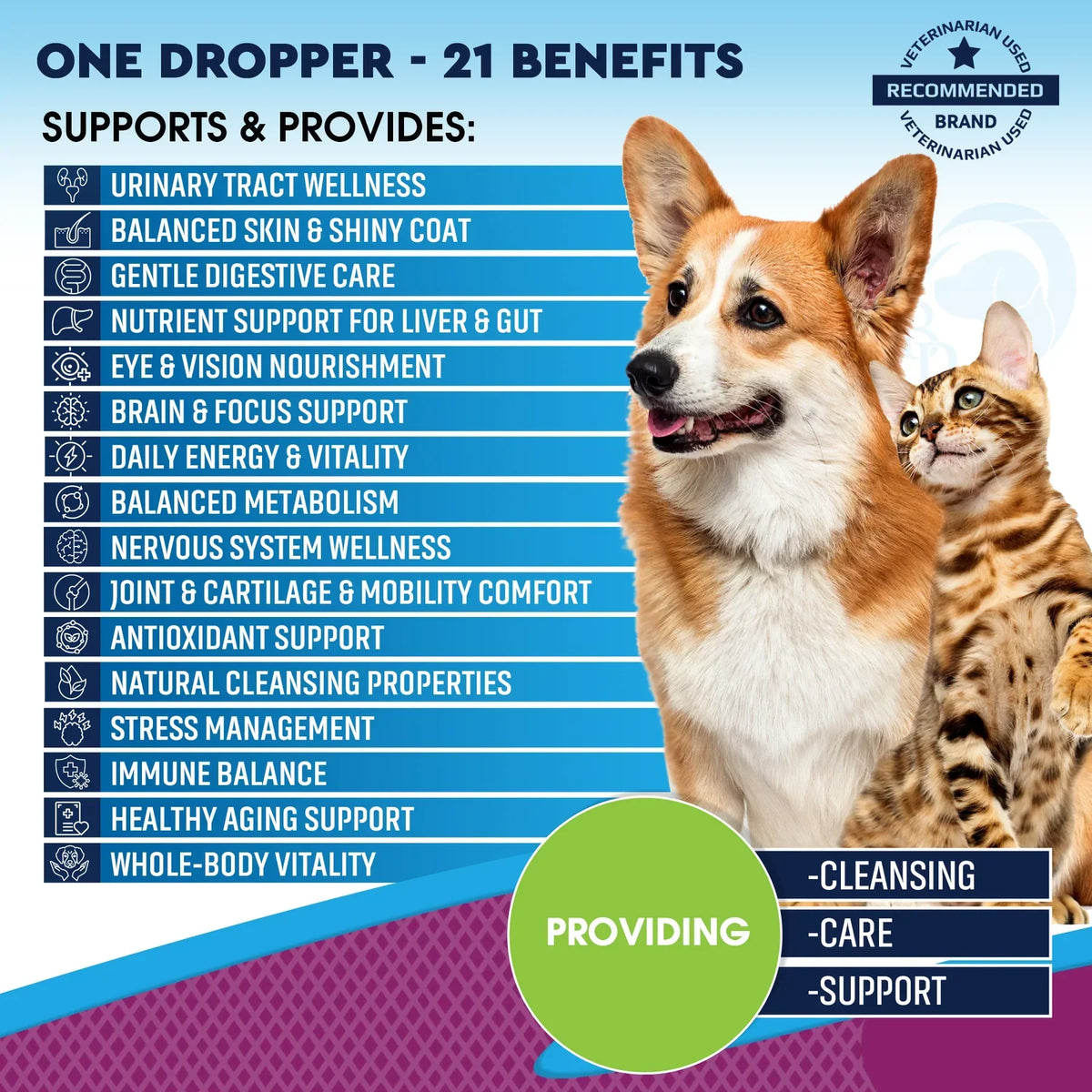 Beloved Pets 15-in-1 Multi Vitamin ABCD Complex for Dogs & Cats (2 oz)