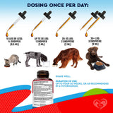 Beloved Pets Dewo Herbal Cleanse Broad Spectrum Intestinal Defense For Dogs & Cats (2 oz)