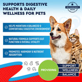 Beloved Pets Dewo Herbal Cleanse Broad Spectrum Intestinal Defense For Dogs & Cats (2 oz)