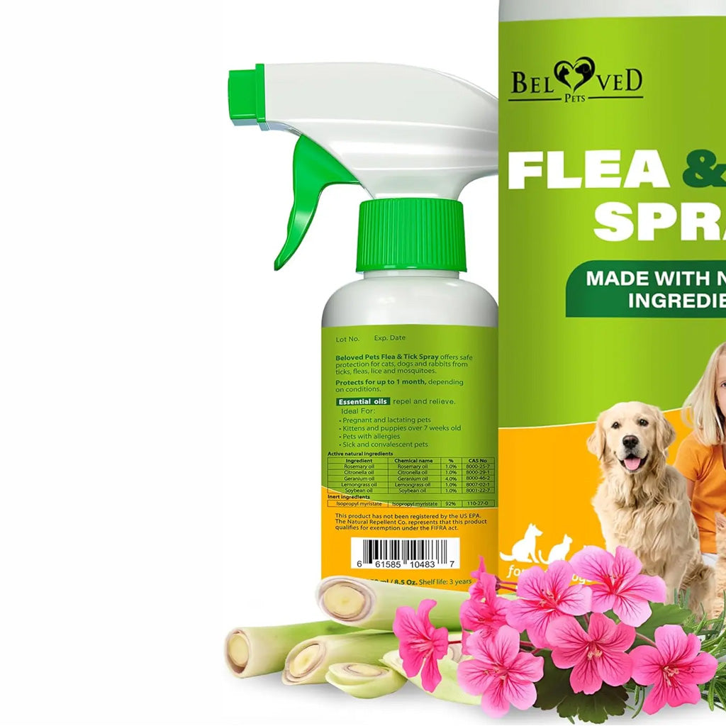 Cat Flea & Tick