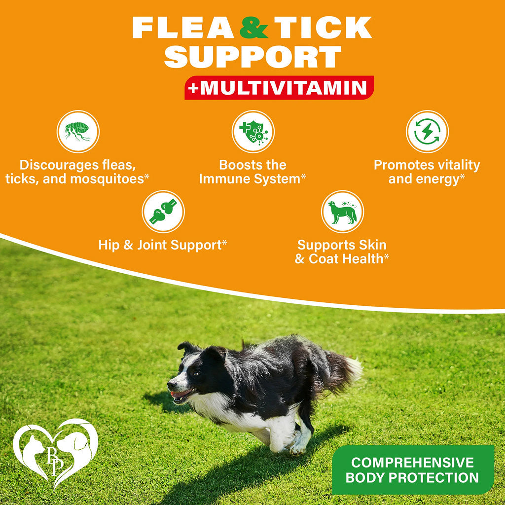 Beloved Pets Natural Flea & Tick Support + Multivitamin Chicken Flavored Soft Chews for Dogs (10 oz)