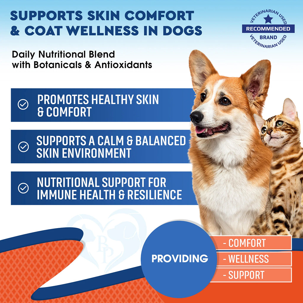 Beloved Pets Natural Yeast Infection Relief Immune & Inflammation Support for Dogs (2 oz)