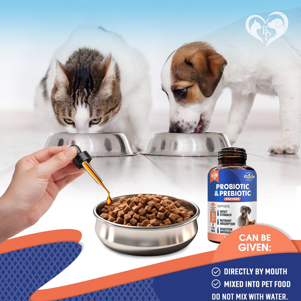 Beloved Pets Probiotic & Prebiotic Plus Enzymes for Cats & Dogs (2 oz)
