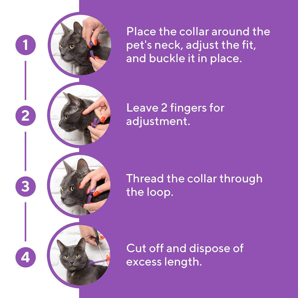 Beloved Pets Relaxiv Pheramone Improved DE-Stress Formula Calming Collar for Cats