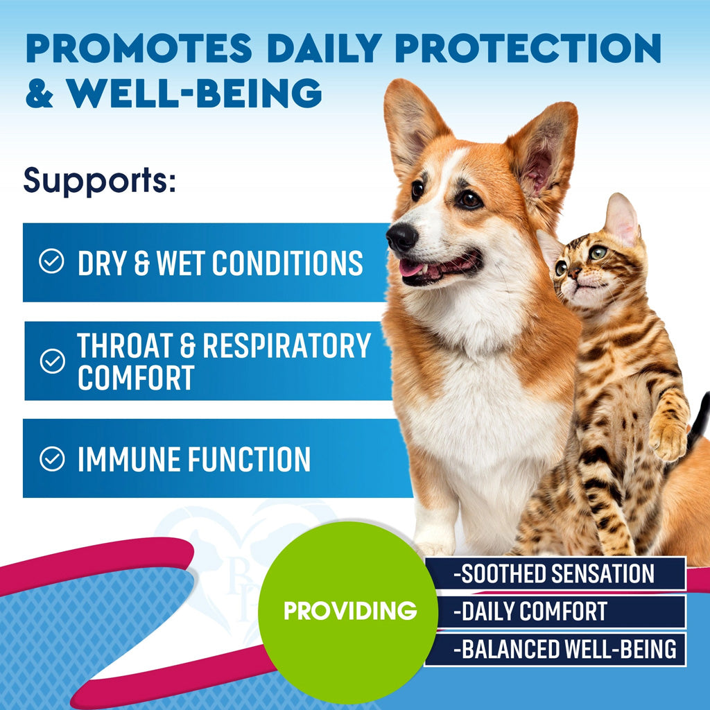 Beloved Pets Throat & Respiratory Support for Dogs & Cats, 2-oz