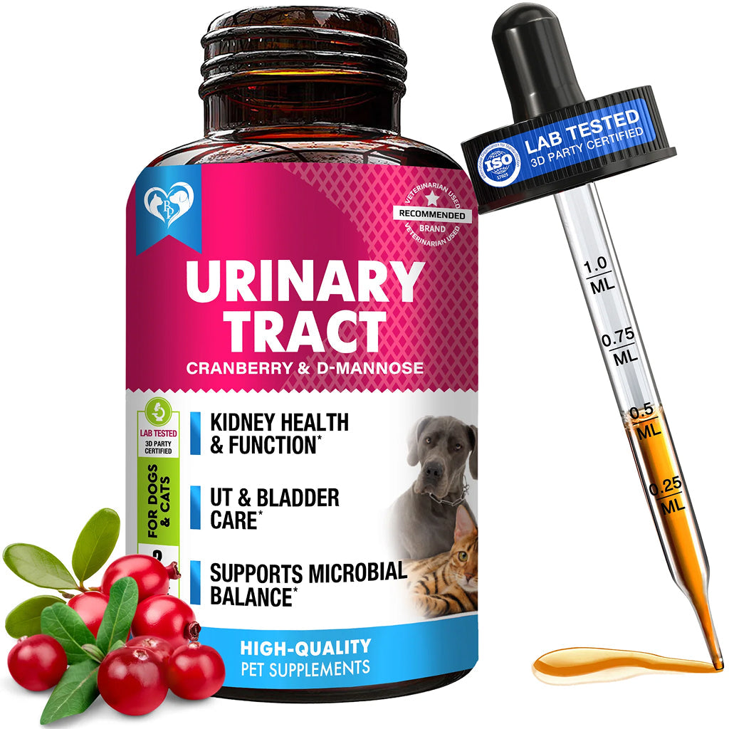 Cat Kidney & Bladder