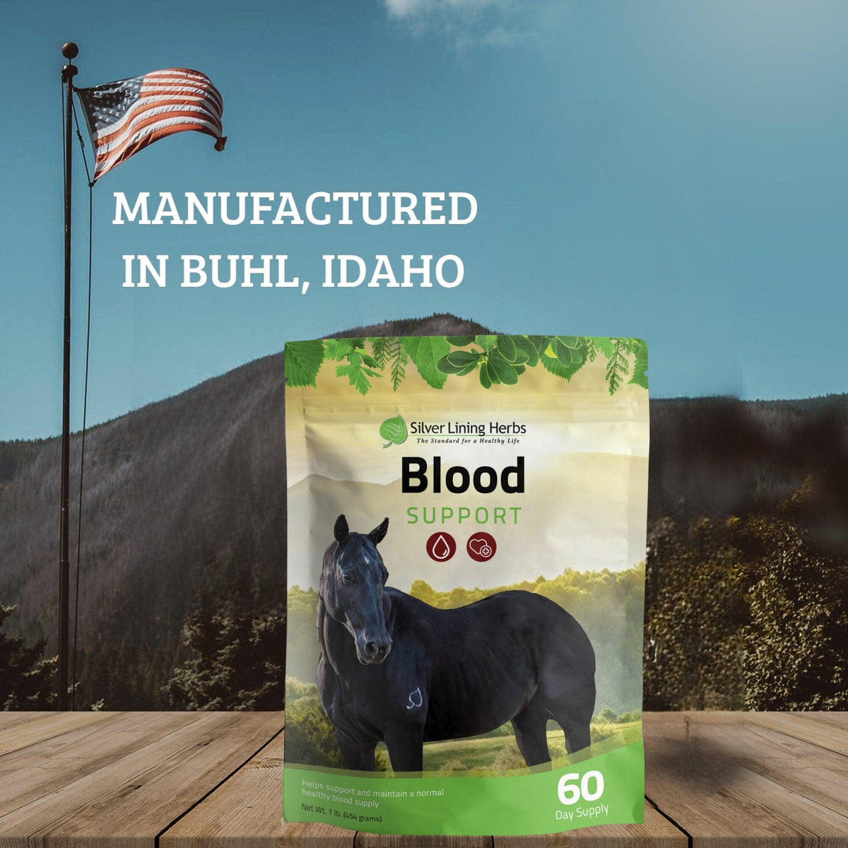 Blood Support for Horses