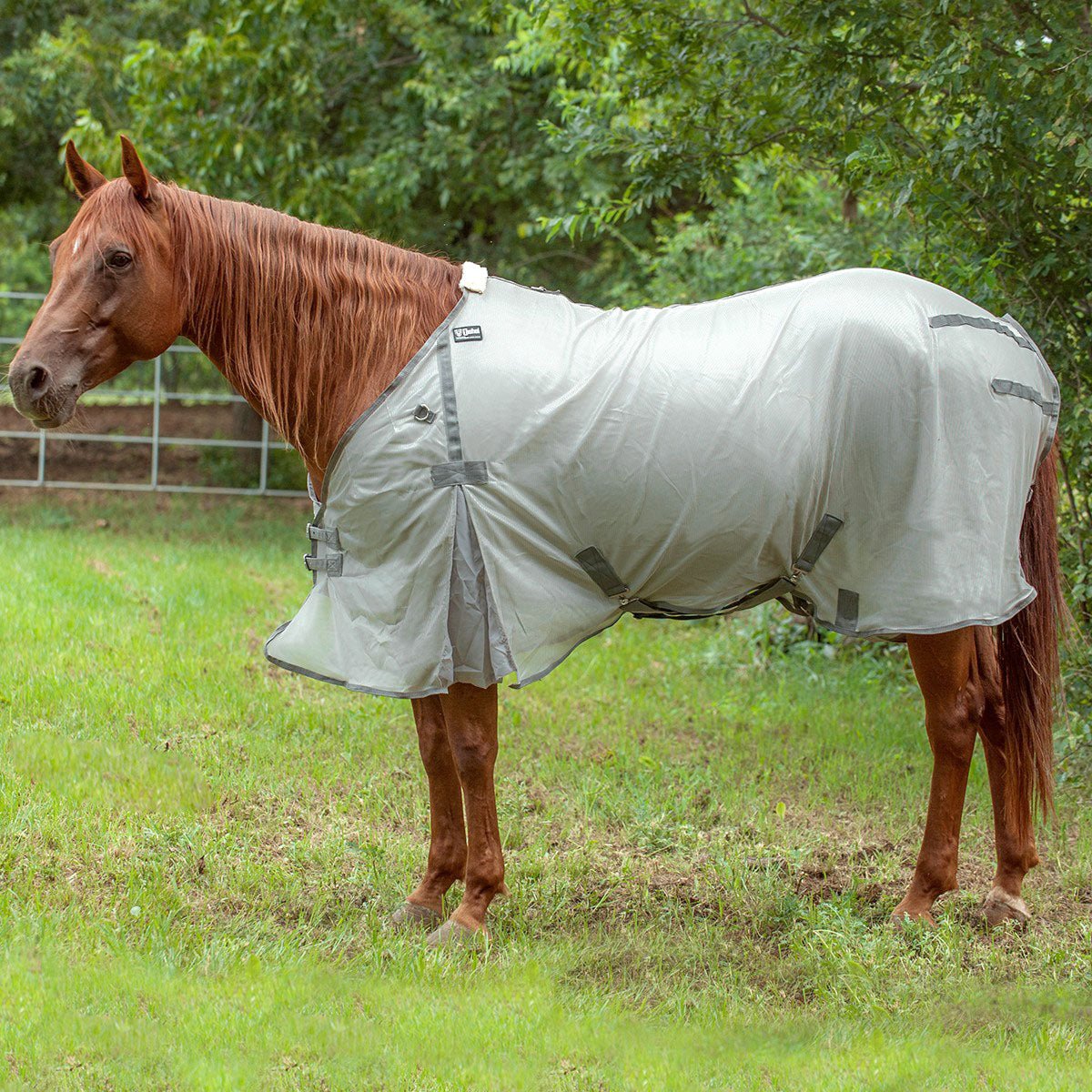Horse Fly Wear