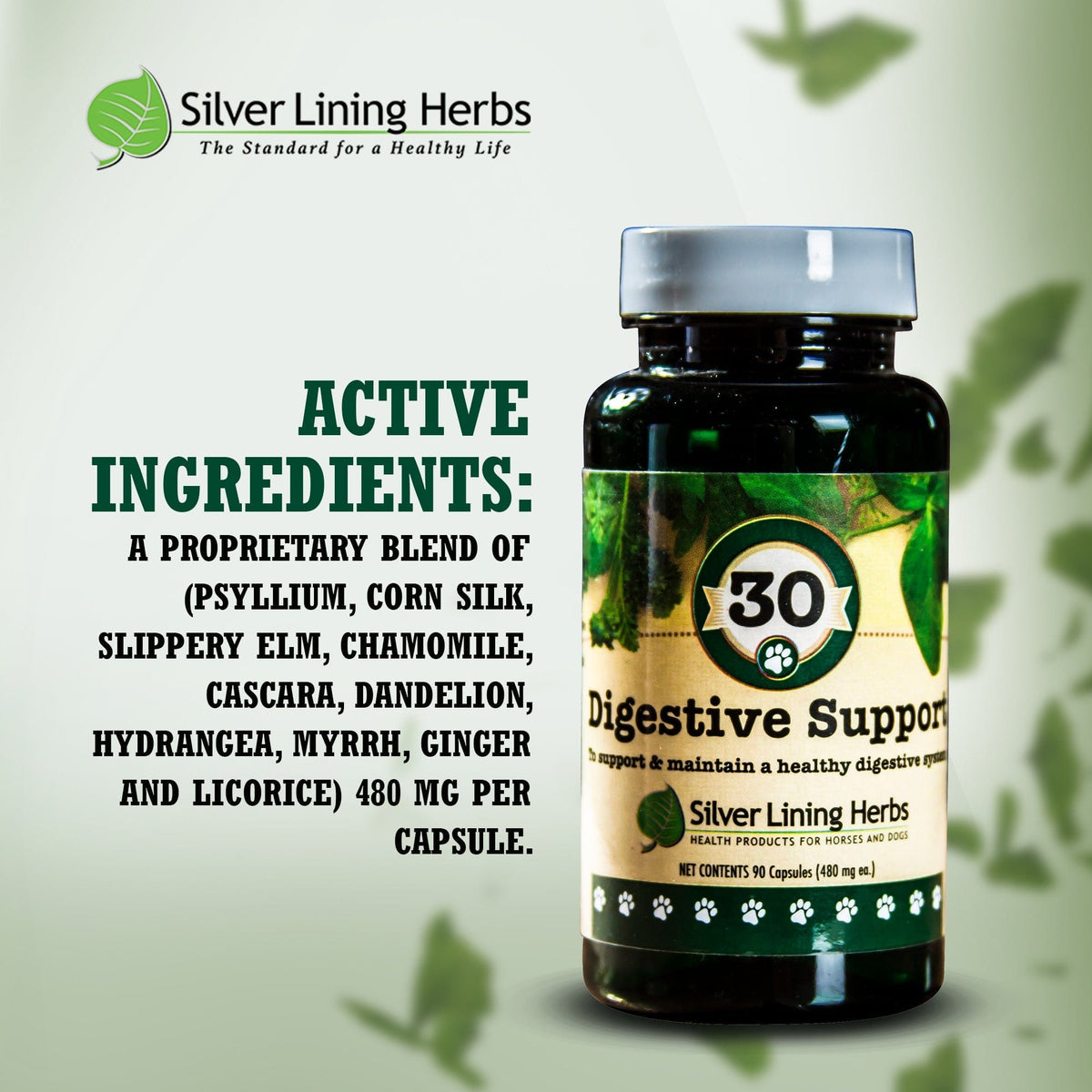 Digestive Support for Canines