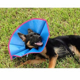 Elizasoft Collar - Medium and Large Dogs - 8 inches deep - 1 collar