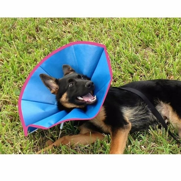 Elizasoft Collar - Medium and Large Dogs - 8 inches deep - 1 collar