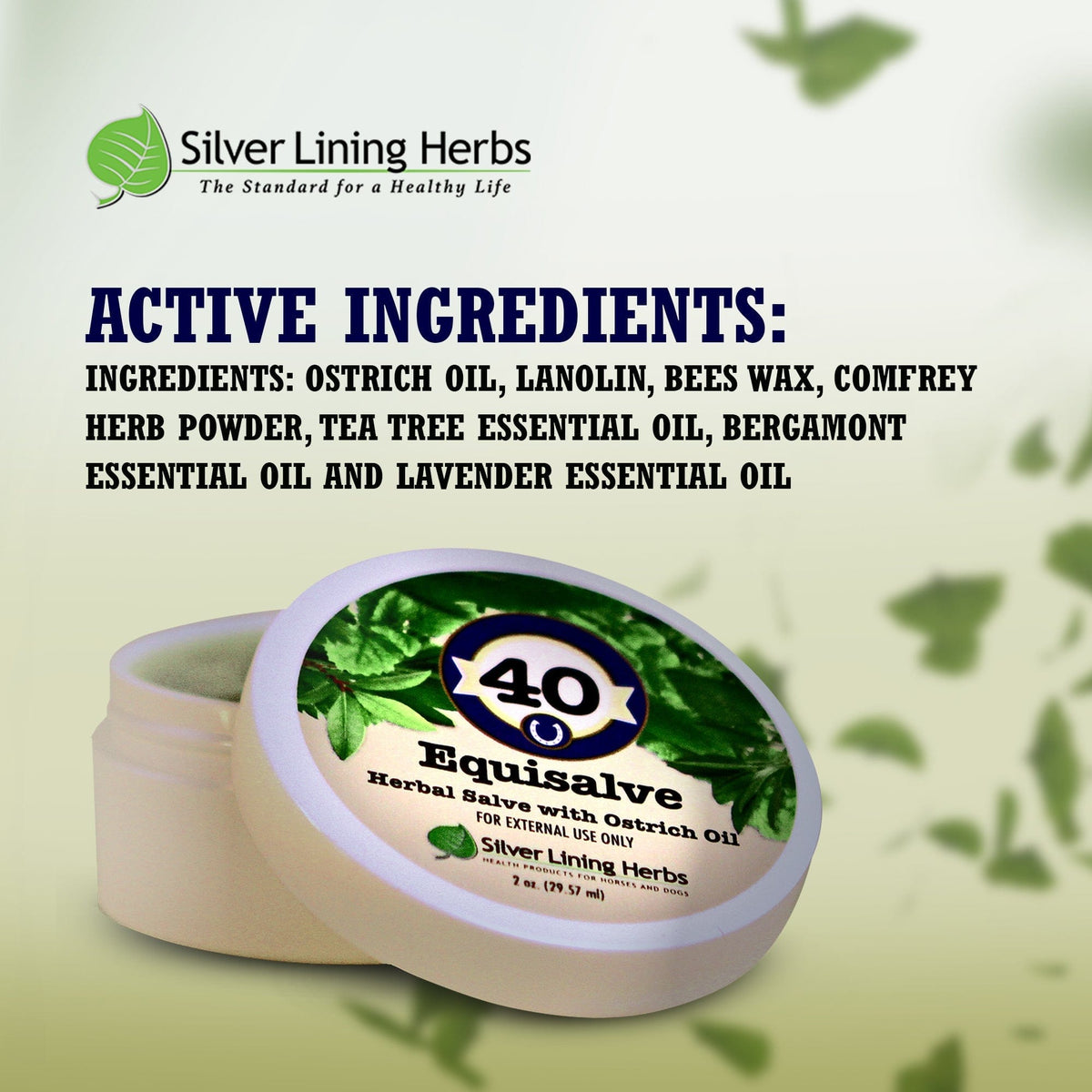 Equisalve For Horses
