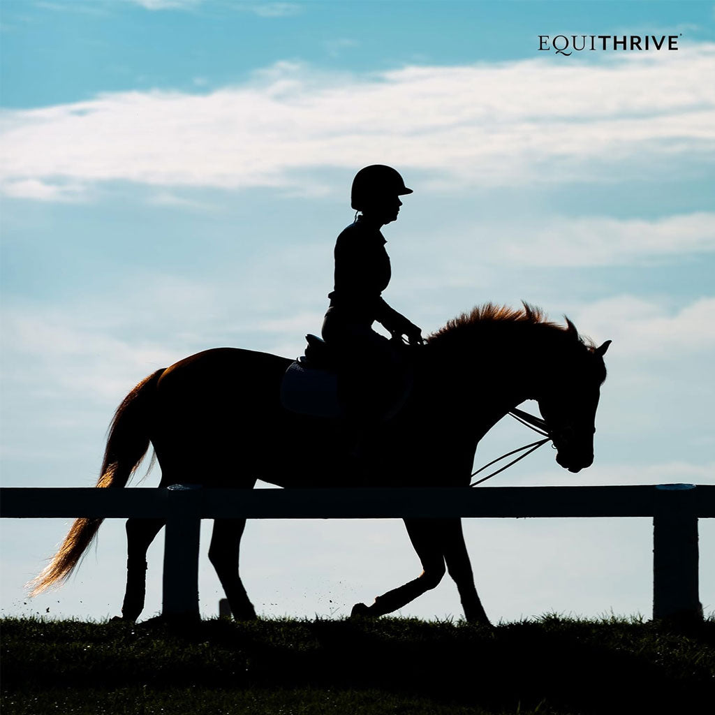 Equithrive Original Joint Pellets for Horses
