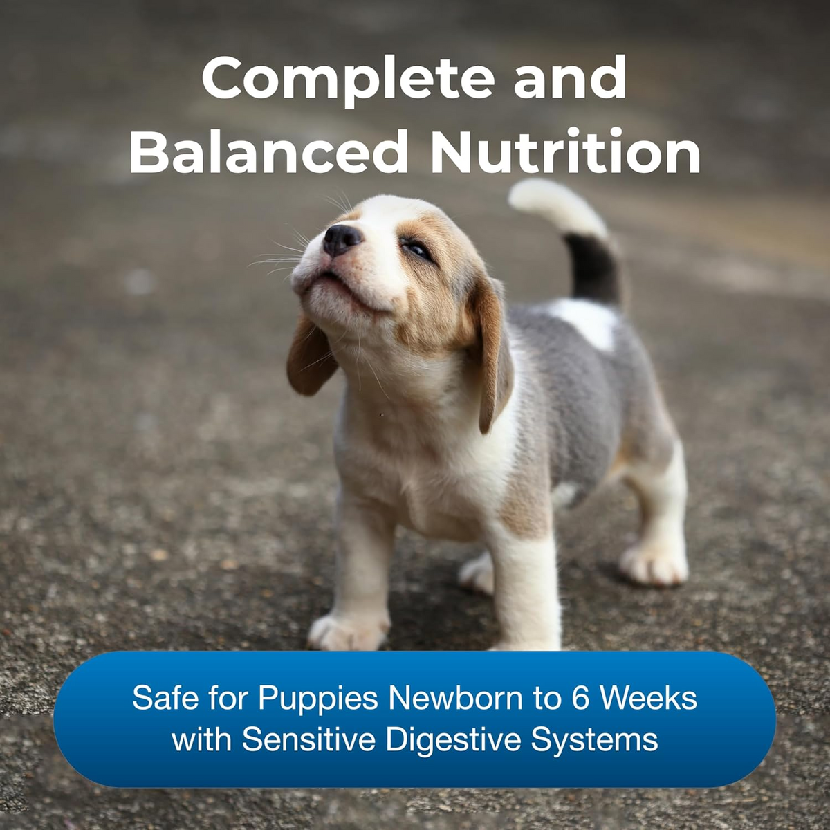 Esbilac Goat's Milk Puppy Milk Replacer Powder