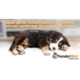 ThunderShirt Sport Dog Anxiety Solution - Medium - Platinum