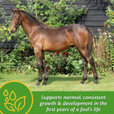 Farnam Grow Colt Growth & Development Horse Supplement