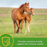 Farnam Grow Colt Growth & Development Horse Supplement