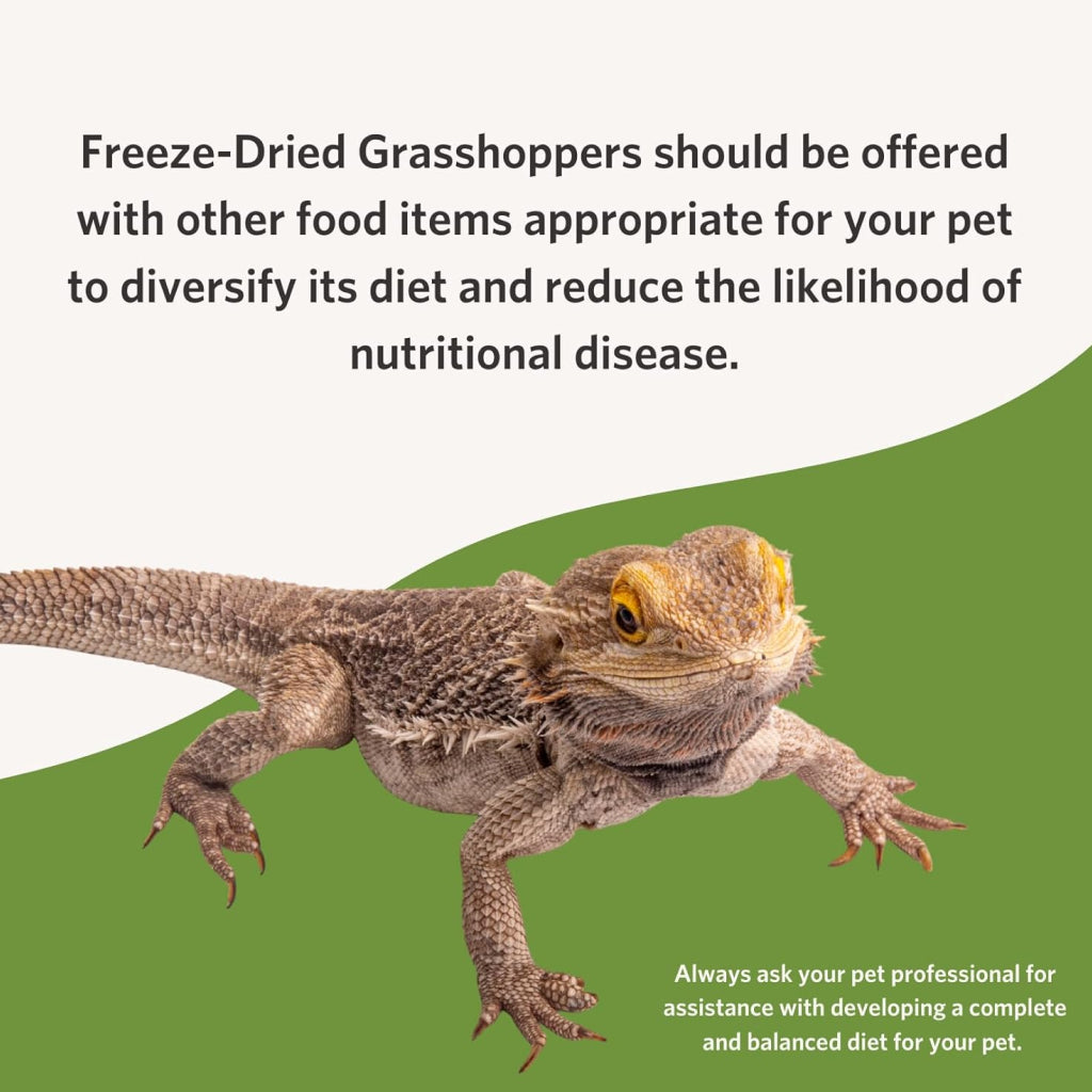 Fluker's Freeze-Dried Grasshoppers for Reptiles & Birds Treats (1 oz)