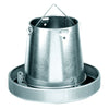 Hanging Galvanized Metal Chicken Feeder & Accessories