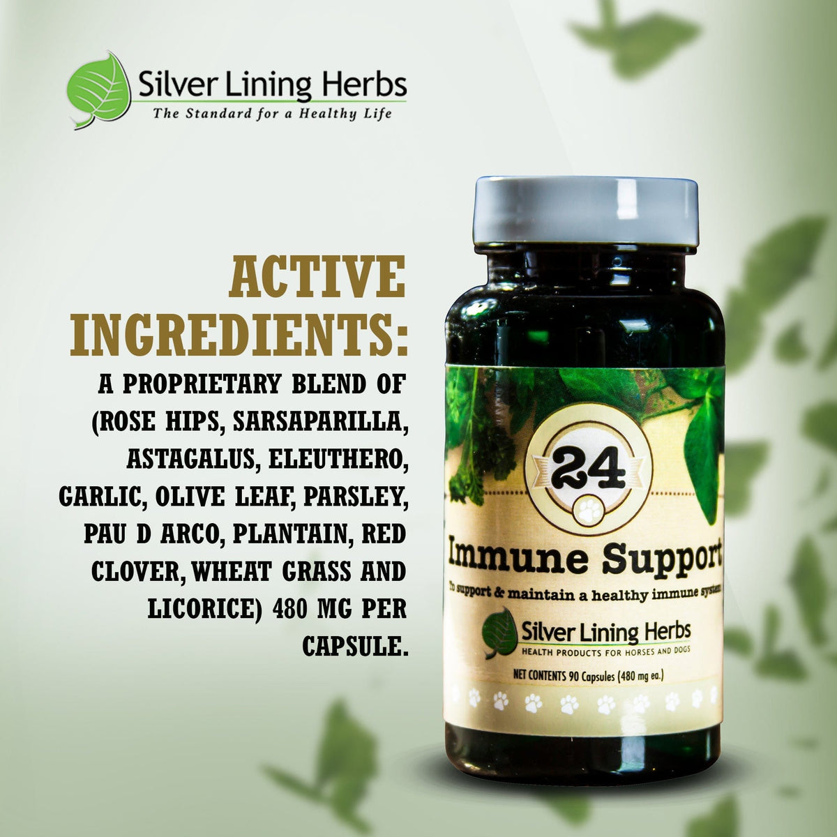 Immune Support for Canines