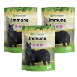 Immune Support for Horses