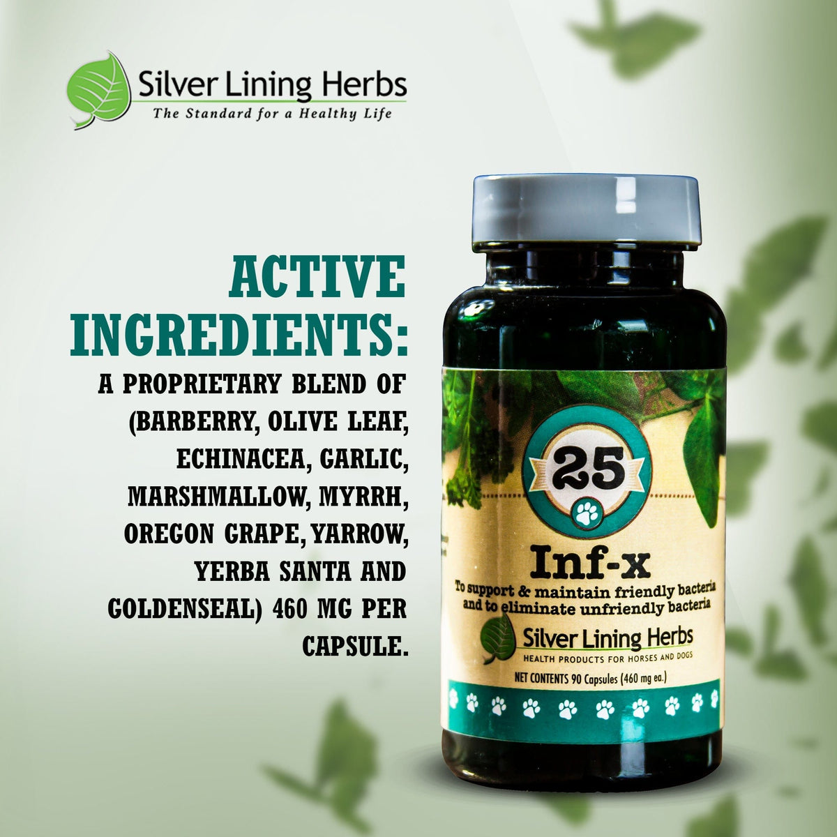 INF-X for Canines - 90 Capsules