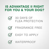 Advantage II Flea Control for Extra Large Dogs (Over 55 lbs) Blue Box