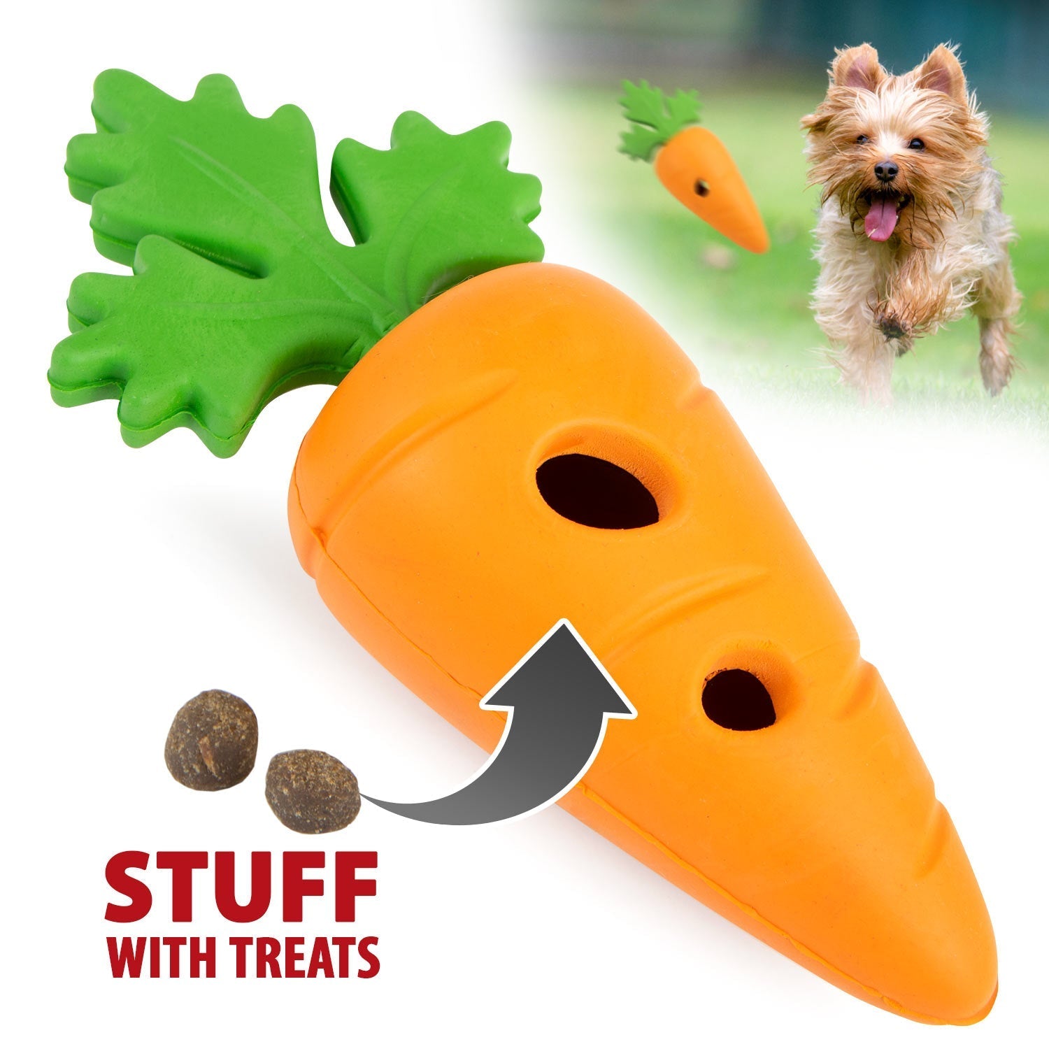 Interactive Dog Toys