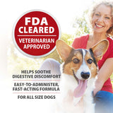Jeffers Diawin Digestive Support for Dogs - Bismuth Tummy Relief for Diarrhea