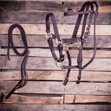 Jeffers Nylon Combination Horse Halter Bridle with Reins