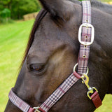 Jeffers Matching Horse Halter & Lead Rope 2 Piece Set, Full Size
