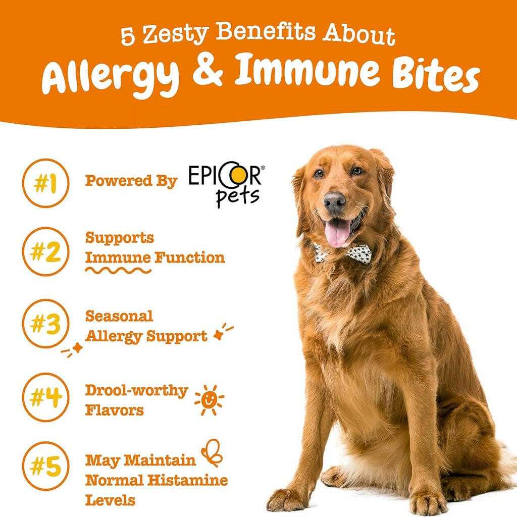 Zesty Paws Allergy & Immune Bites Lamb Flavored Chews for Dogs (90 ct)