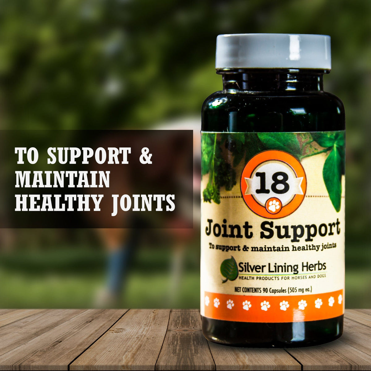 Joint Support for Canines