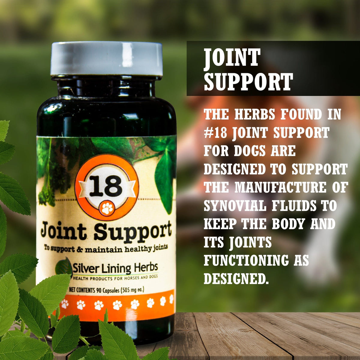 Joint Support for Canines