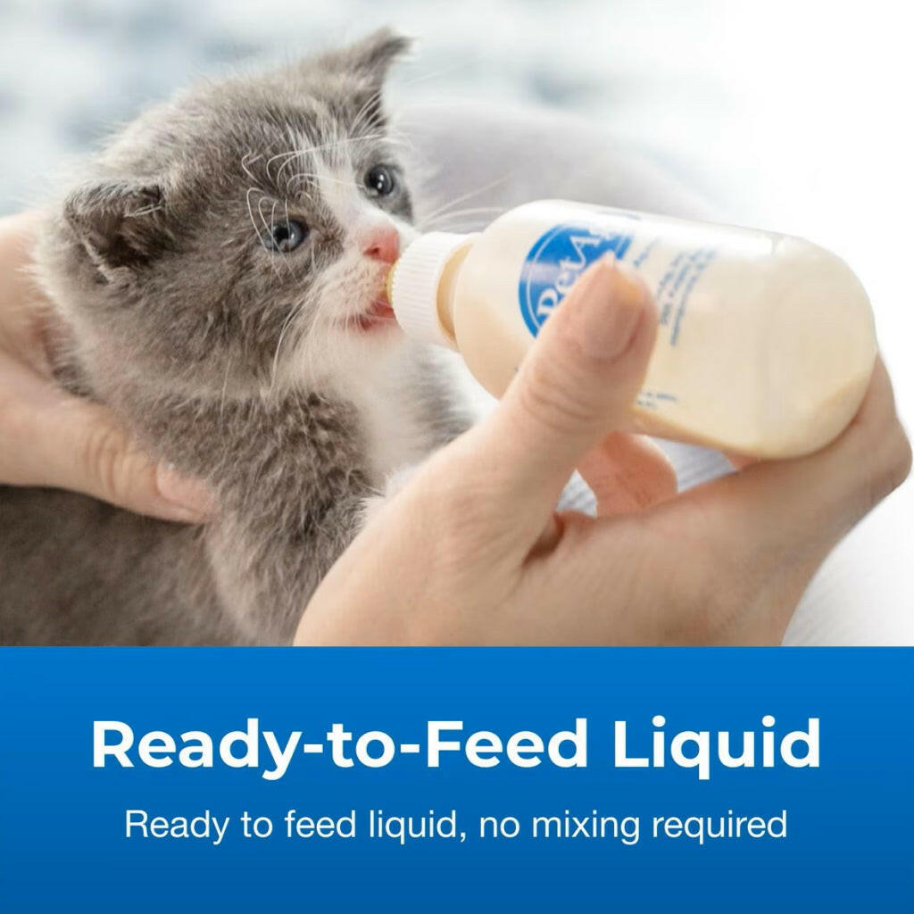 KMR Goat's Milk Kitten Milk Replacer Liquid (11 oz)