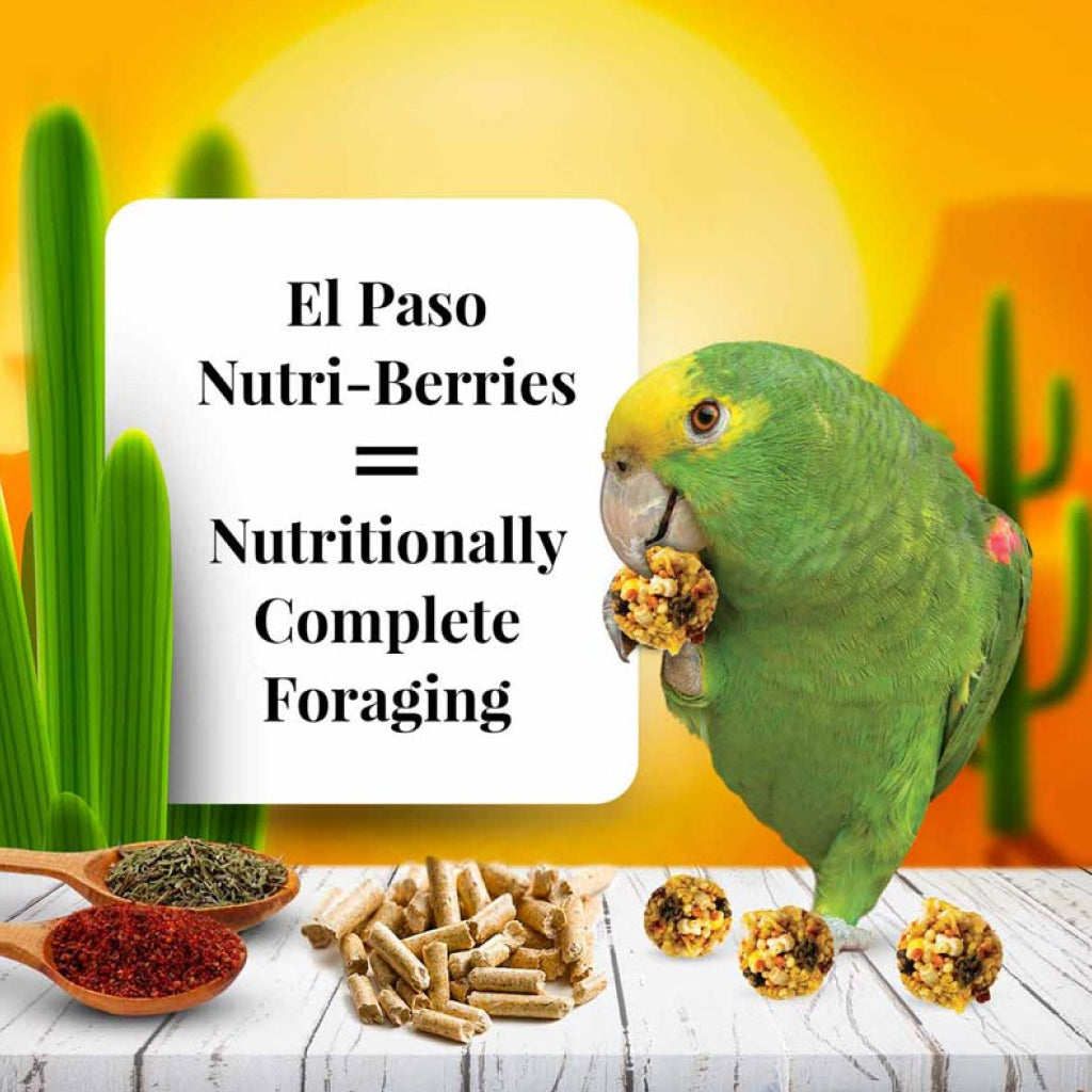 Lafeber El Paso Nutri-Berries Parrot Food (10 oz)