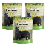 Laminae Support for Horses