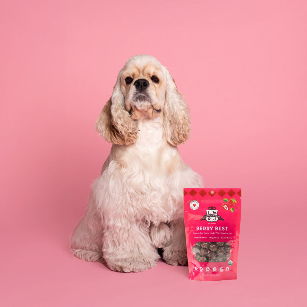 Lord Jameson Berry Best Organic Strawberry Soft & Chewy Treats For Dogs (6 oz)