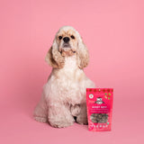 Lord Jameson Berry Best Organic Strawberry Soft & Chewy Treats For Dogs (6 oz)