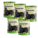 Lymphatic Support for Horses