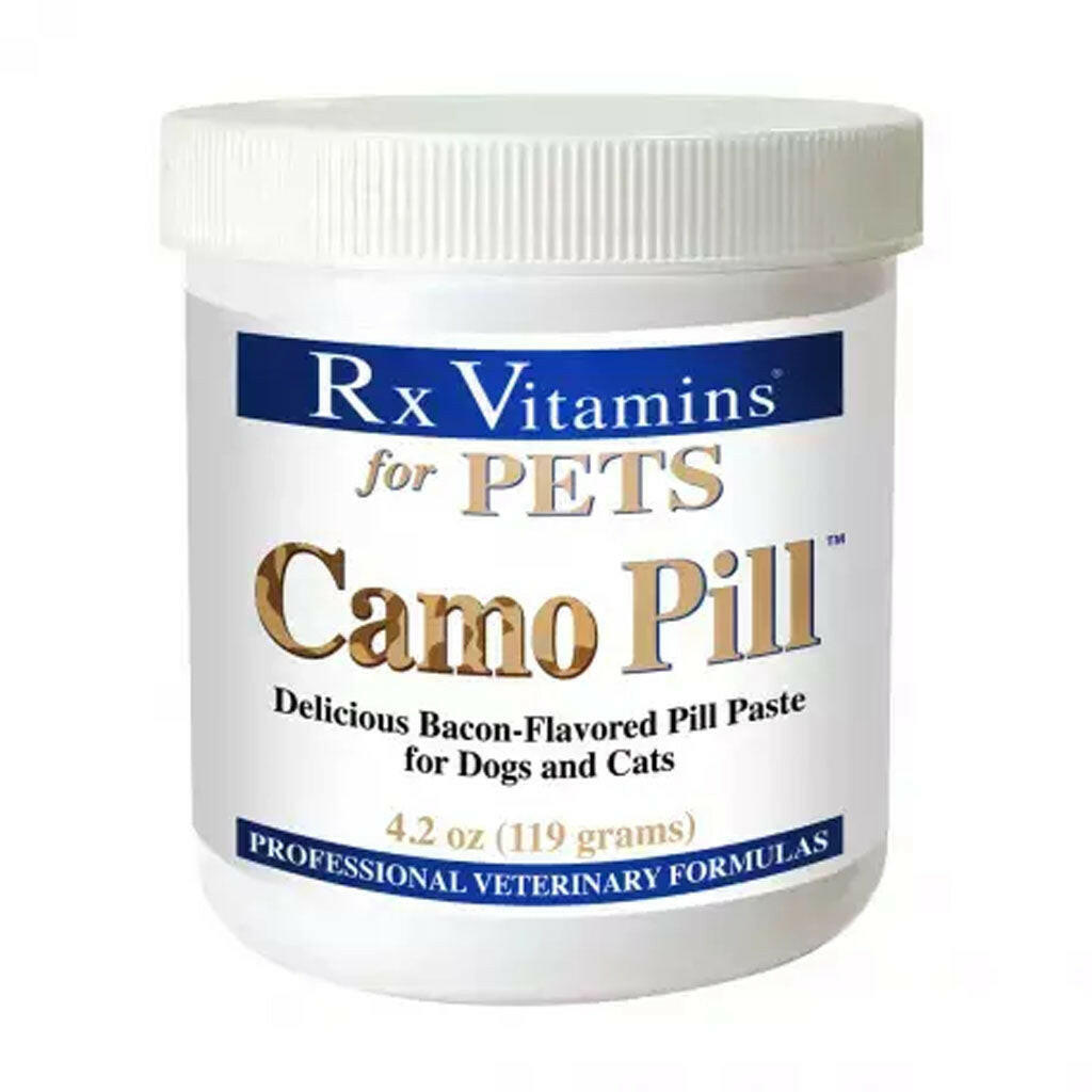 Rx Vitamins Camo Pill Bacon-Flavored Pill Paste for Dogs & Cats (4.2 oz)