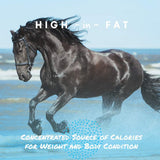 Manna Pro Cool Calories 100 Dry Fat Supplement for Horses