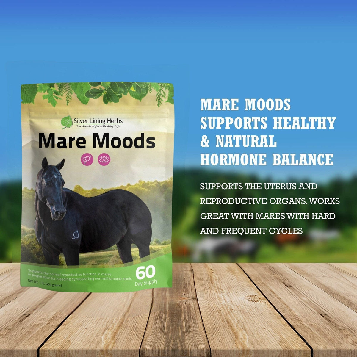 Mare Moods For Horses