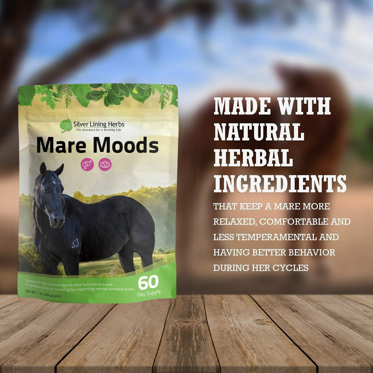 Mare Moods For Horses
