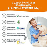 Zesty Paws Vet Strength Pre, Pro & Postbiotics Bites Rotisserie Chicken Flavored Chews for Dogs (90 ct)