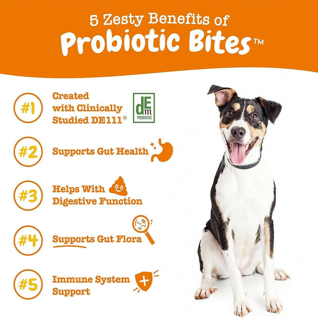 Zesty Paws Probiotic Bites Pumpkin Flavored Chews for Dogs (90 ct)