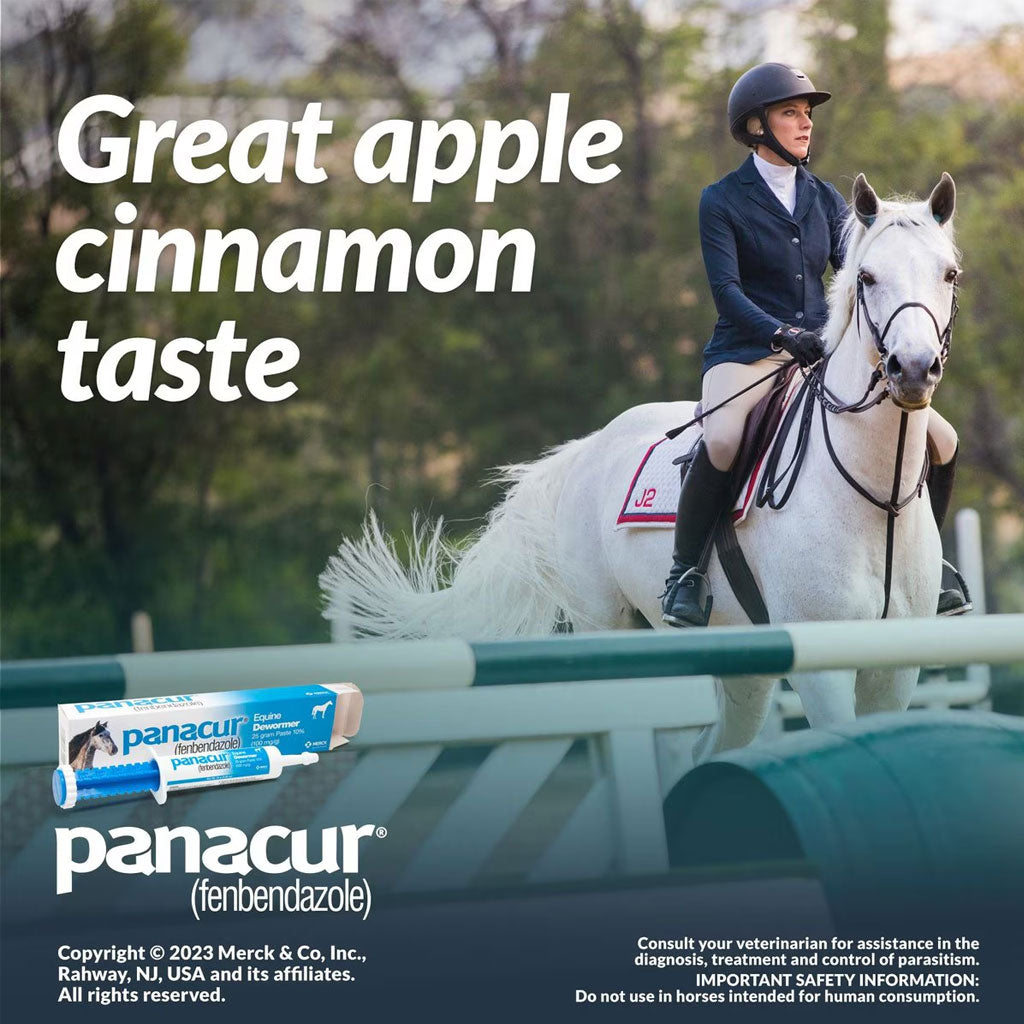 Panacur Equine Paste 10% Horse Dewormer, 25g