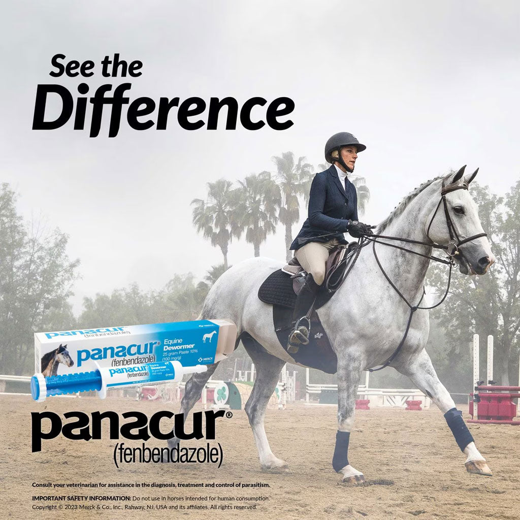 Panacur Equine Paste 10% Horse Dewormer, 25g