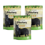 Pituitary Support for Horses